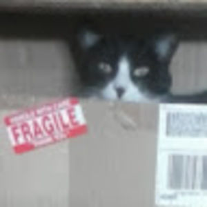 Meet your Posher, Jeffrey